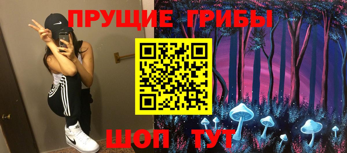 Майкоп  Галлюциногенные грибы прущие грибы  Вход с VPN 